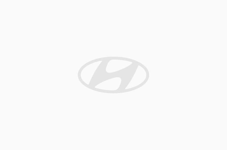 Transporttasche Basic für E-Connect